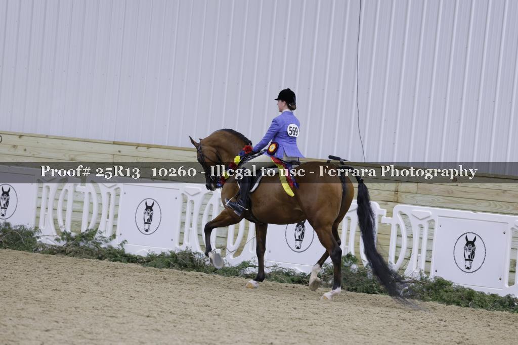 Proof 25R13_10260