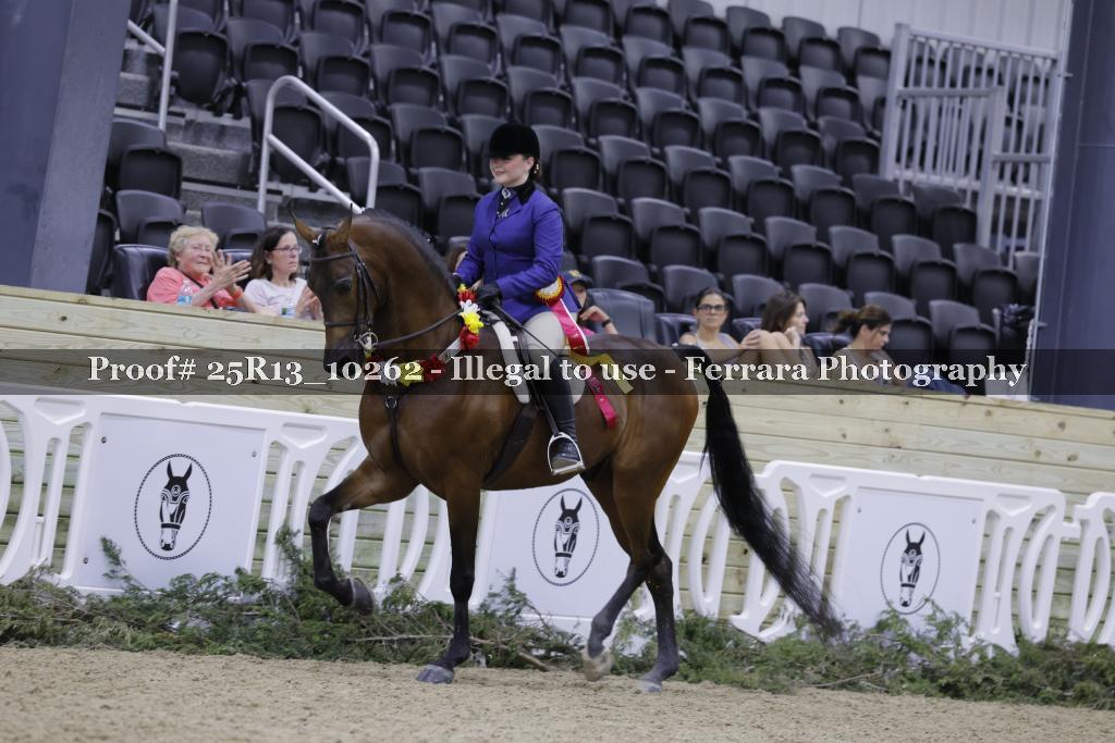 Proof 25R13_10262