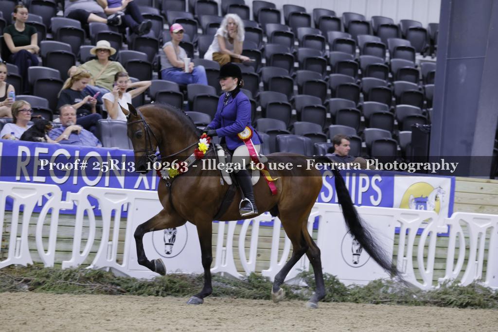 Proof 25R13_10263