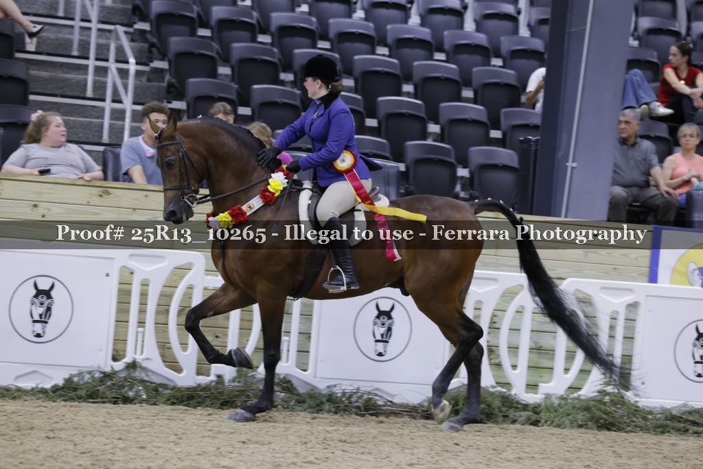 Proof 25R13_10265