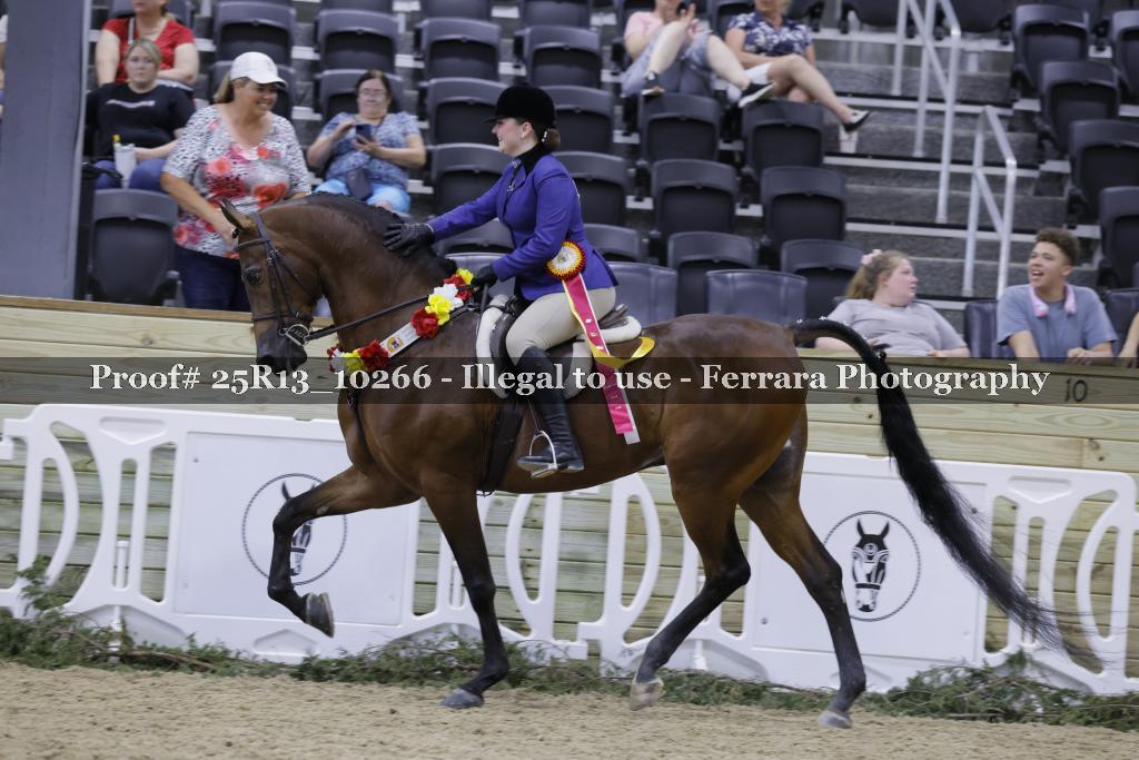 Proof 25R13_10266