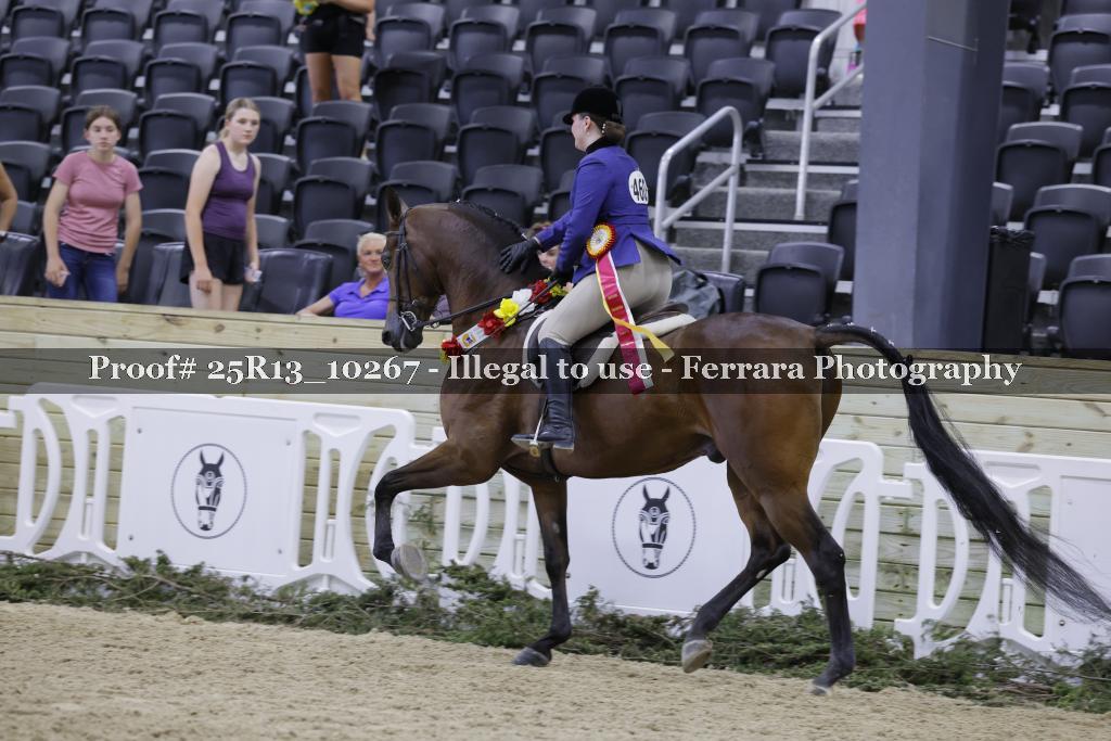 Proof 25R13_10267