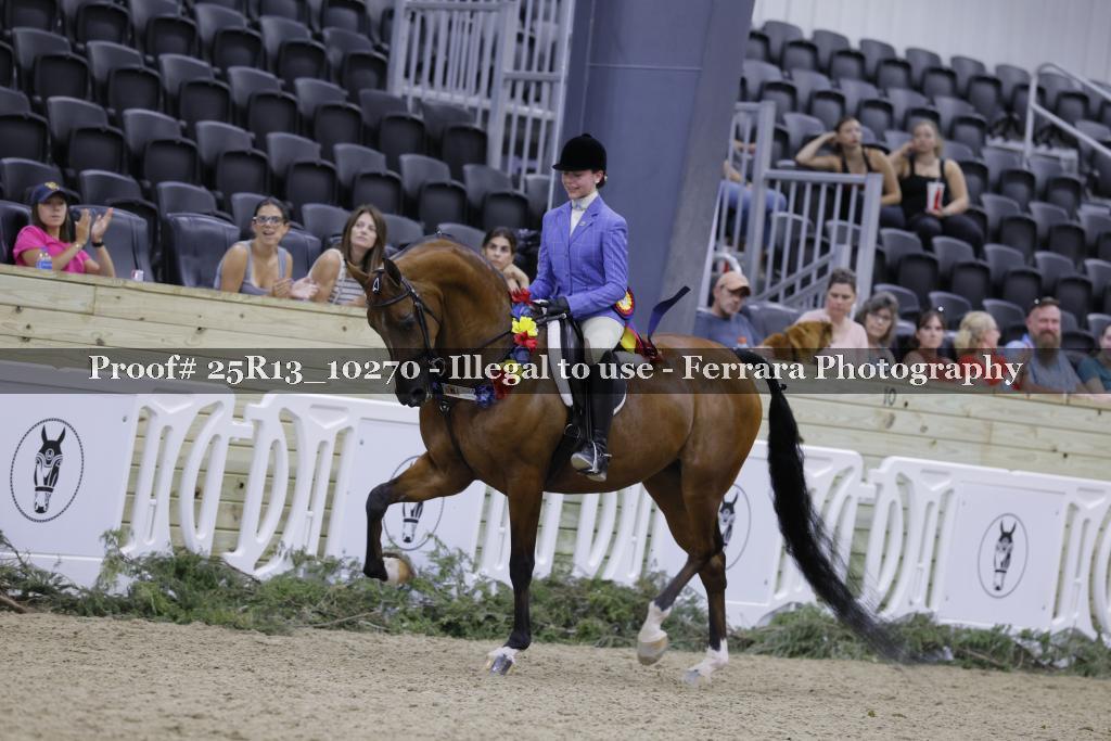 Proof 25R13_10270