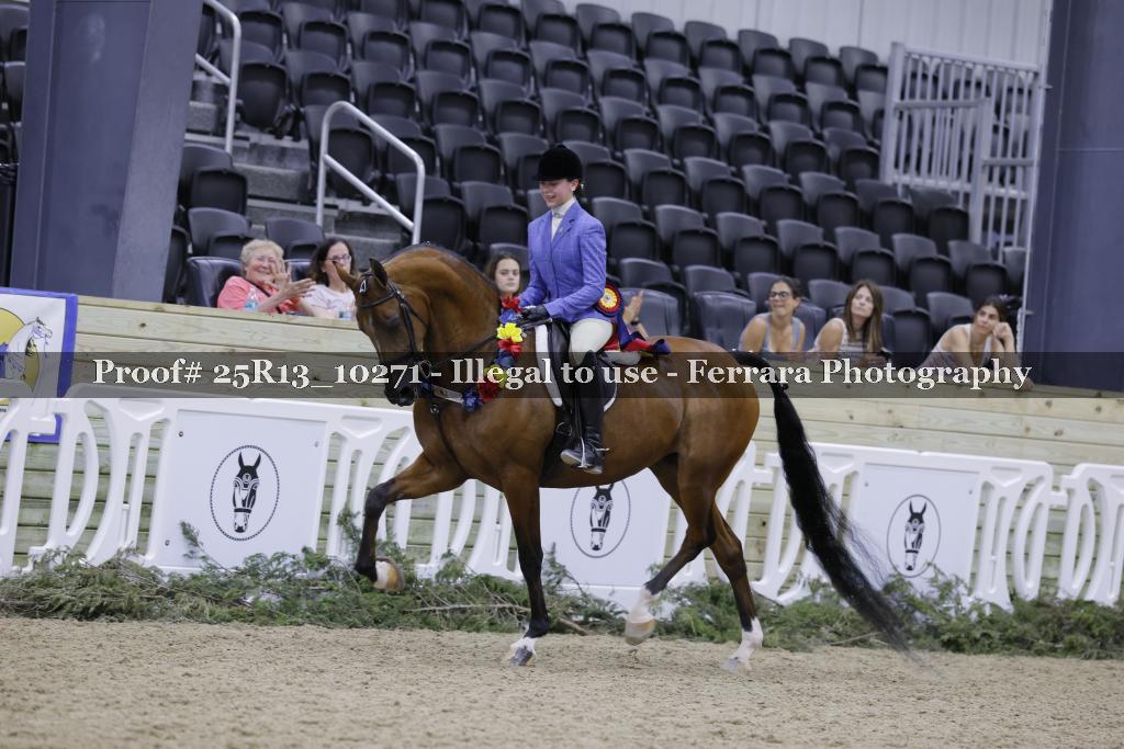 Proof 25R13_10271
