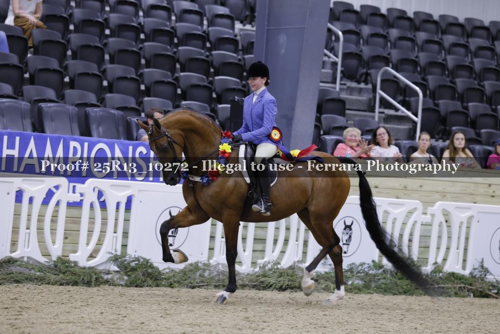 Proof 25R13_10272