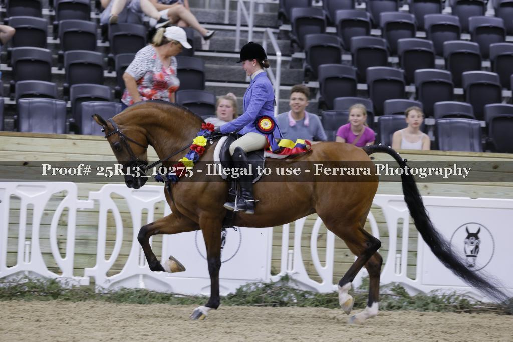 Proof 25R13_10275