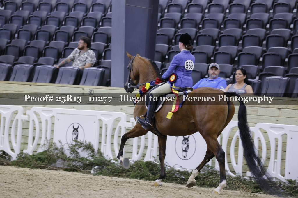 Proof 25R13_10277