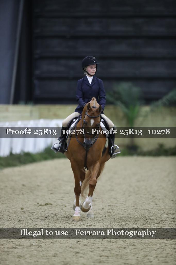 Proof 25R13_10278