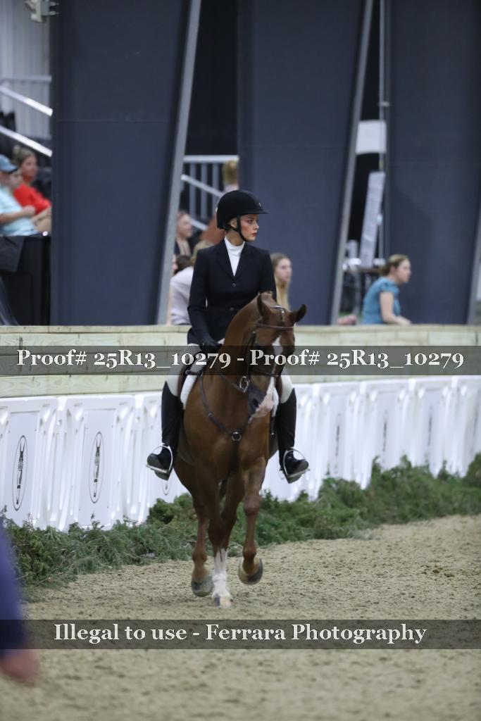 Proof 25R13_10279