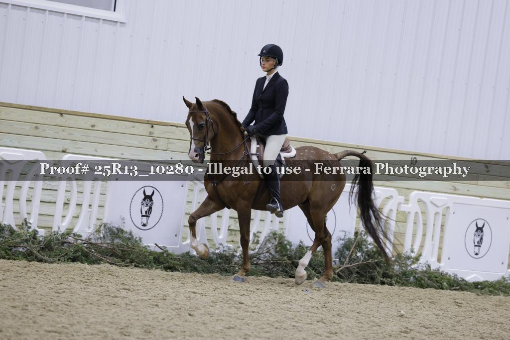 Proof 25R13_10280