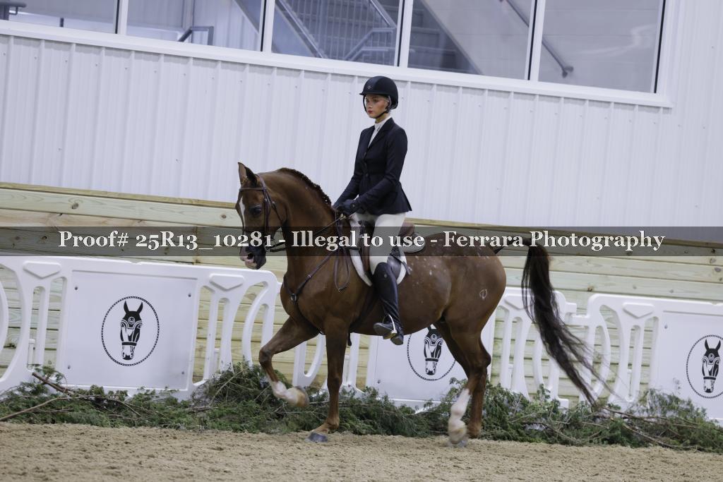 Proof 25R13_10281