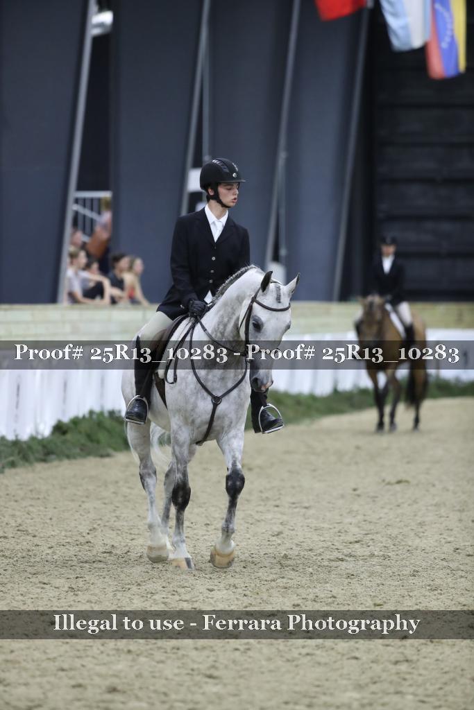 Proof 25R13_10283
