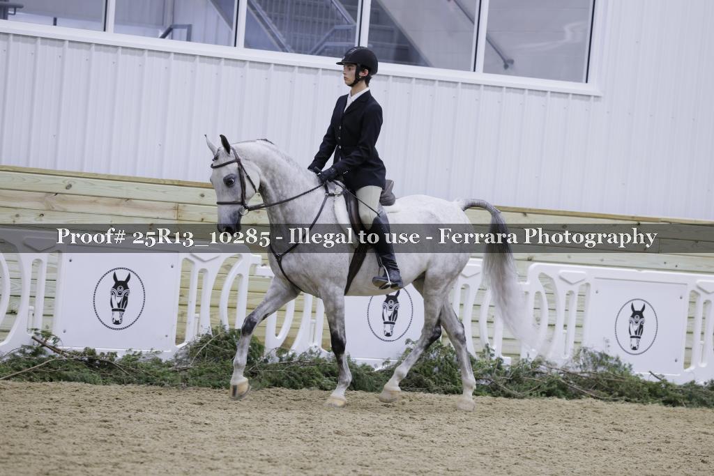 Proof 25R13_10285