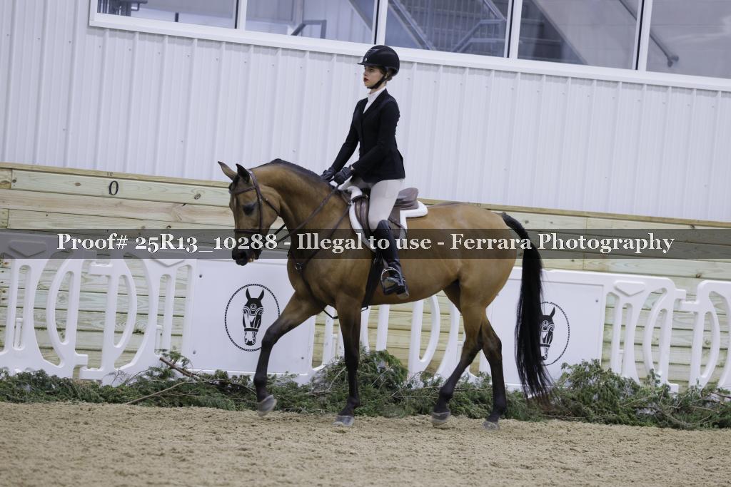 Proof 25R13_10288