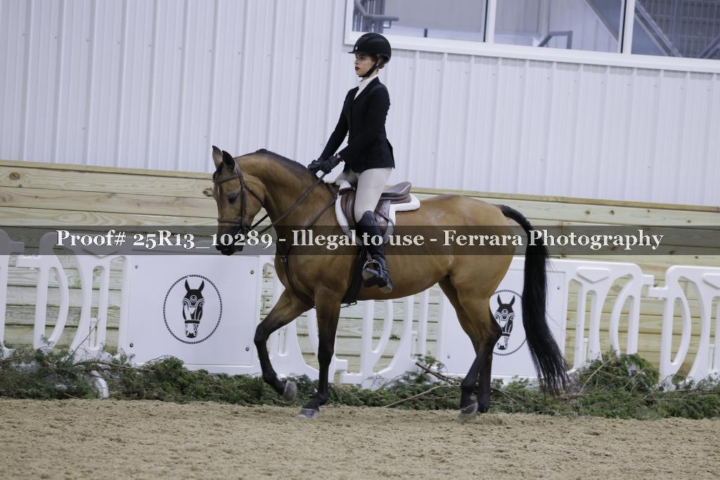 Proof 25R13_10289