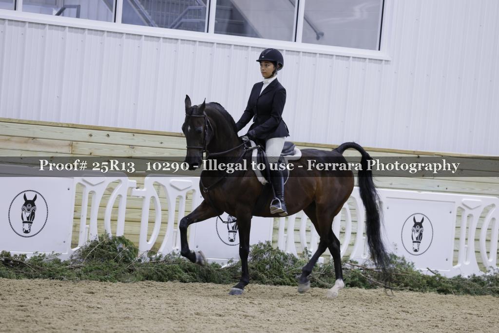 Proof 25R13_10290
