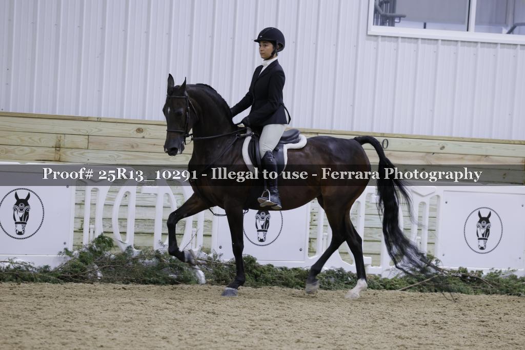 Proof 25R13_10291