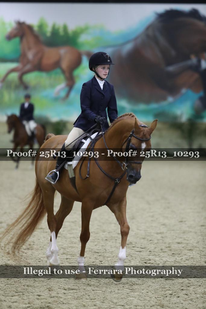 Proof 25R13_10293