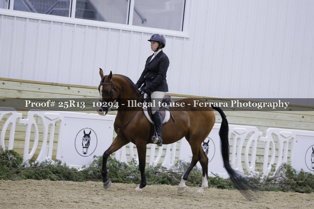 Proof 25R13_10294