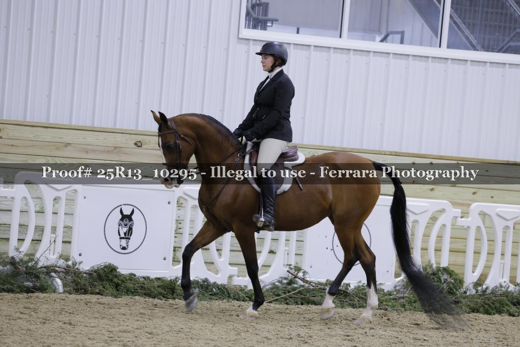 Proof 25R13_10295