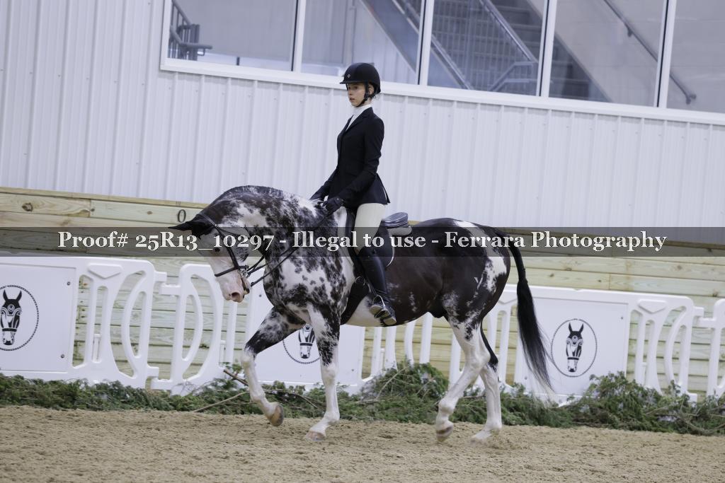 Proof 25R13_10297