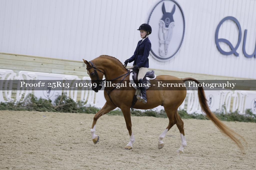 Proof 25R13_10299