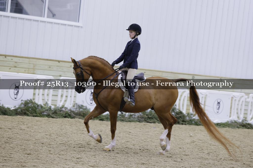 Proof 25R13_10300