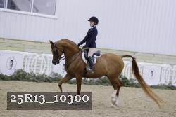 25R13_10300 proof