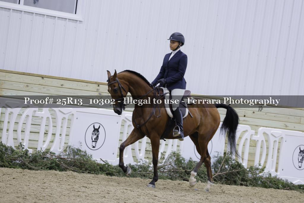 Proof 25R13_10302