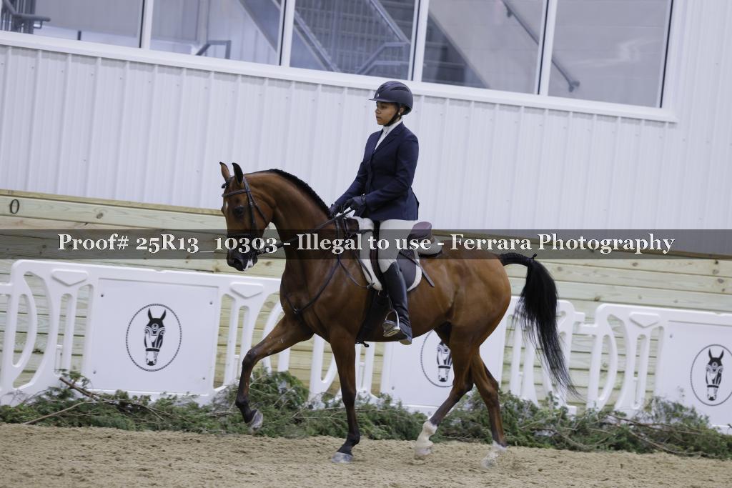 Proof 25R13_10303