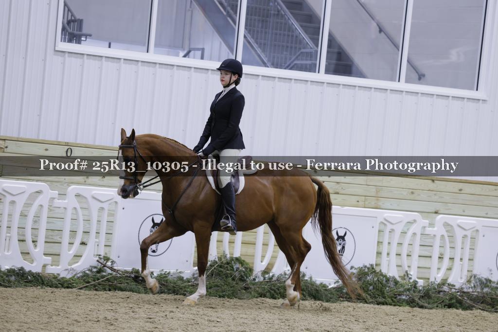 Proof 25R13_10305