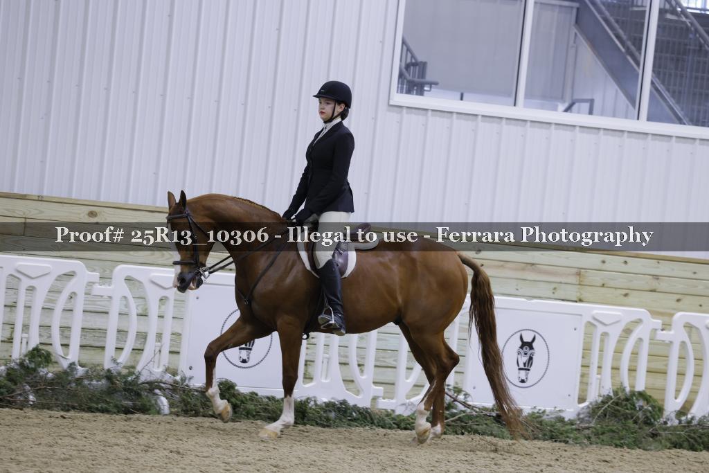 Proof 25R13_10306