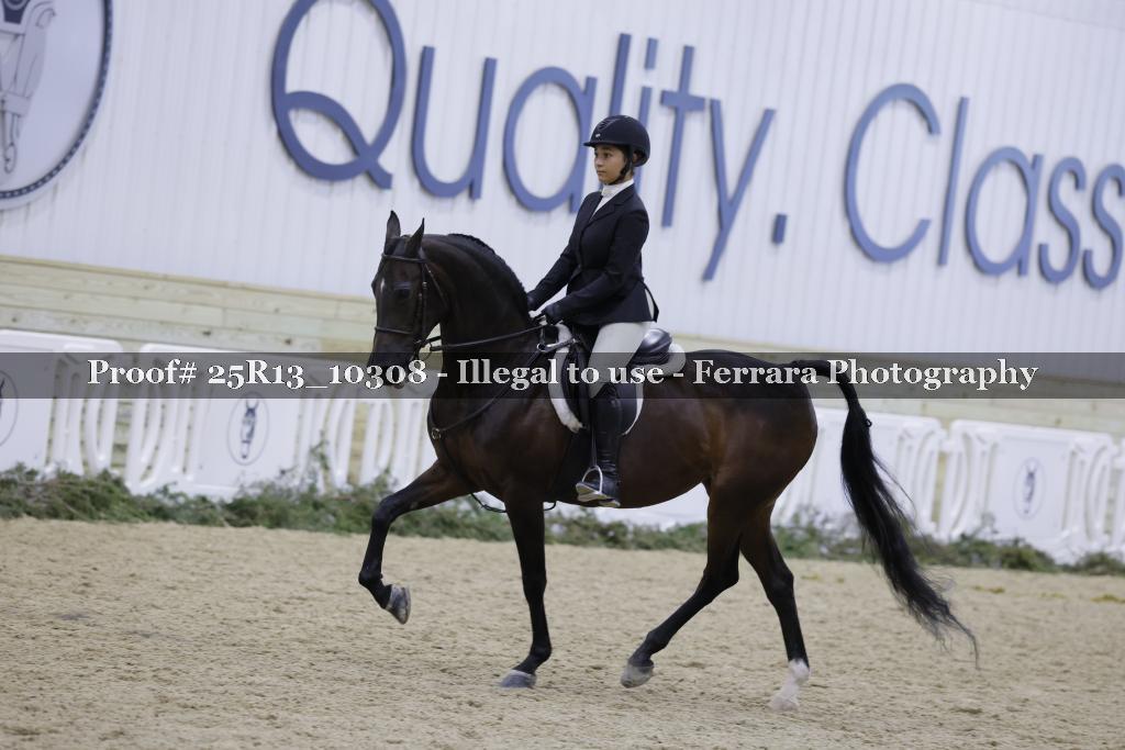 Proof 25R13_10308