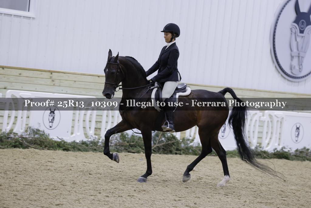 Proof 25R13_10309