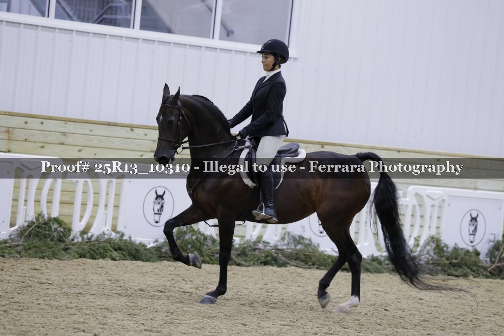 Proof 25R13_10310
