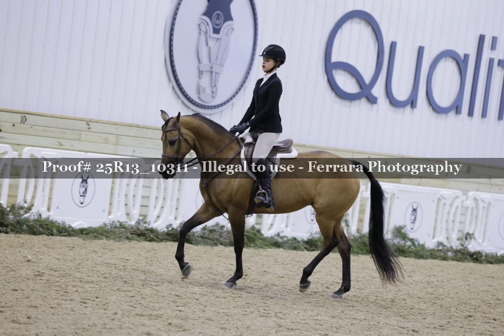 Proof 25R13_10311