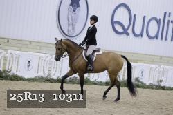 25R13_10311 proof