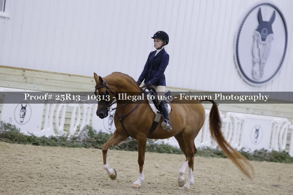 Proof 25R13_10313