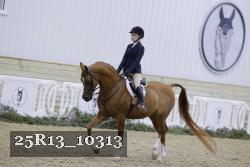 25R13_10313 proof