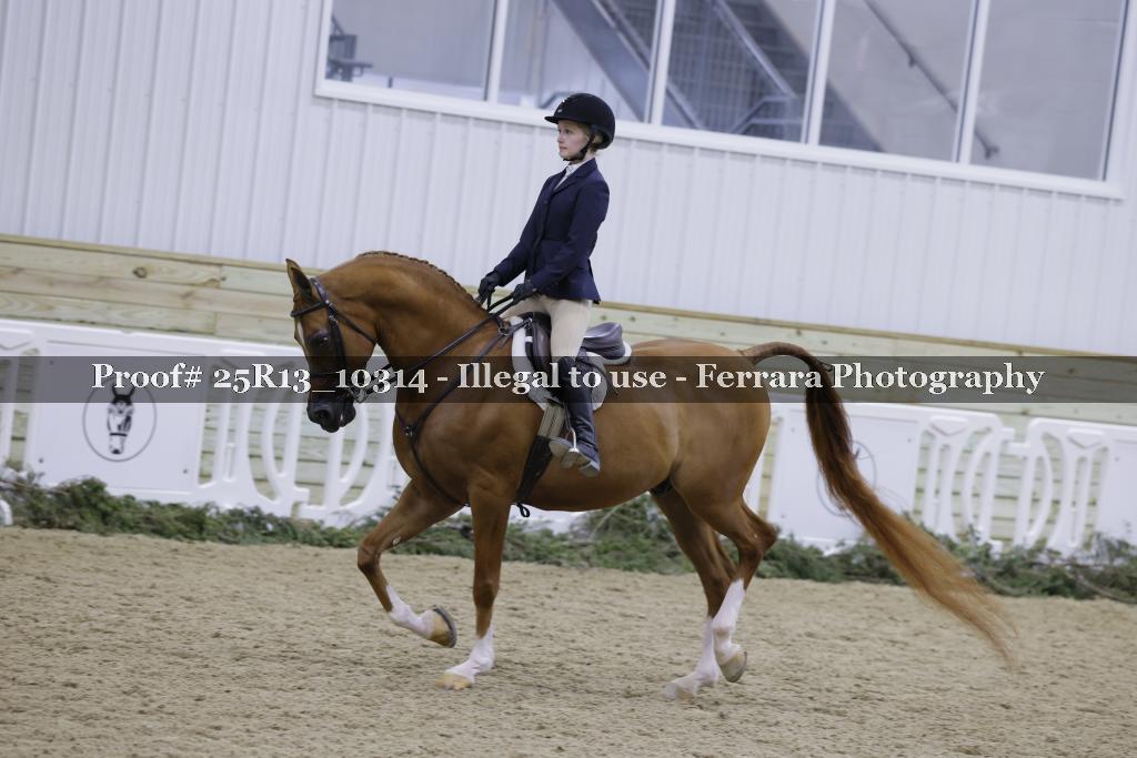 Proof 25R13_10314