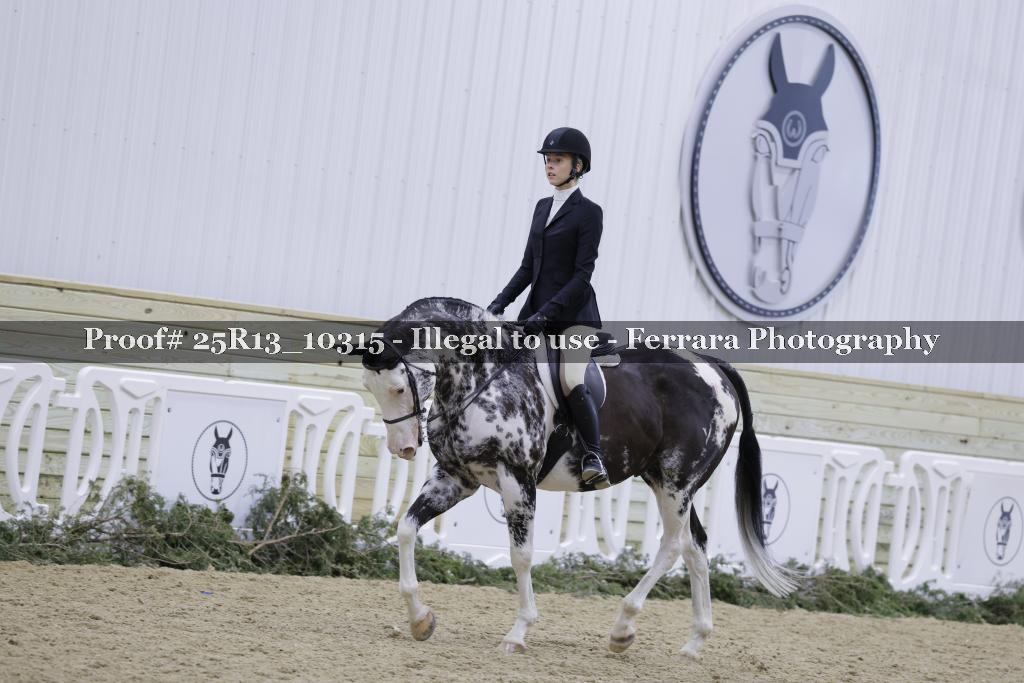 Proof 25R13_10315
