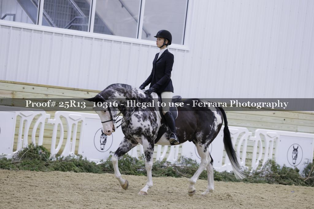 Proof 25R13_10316