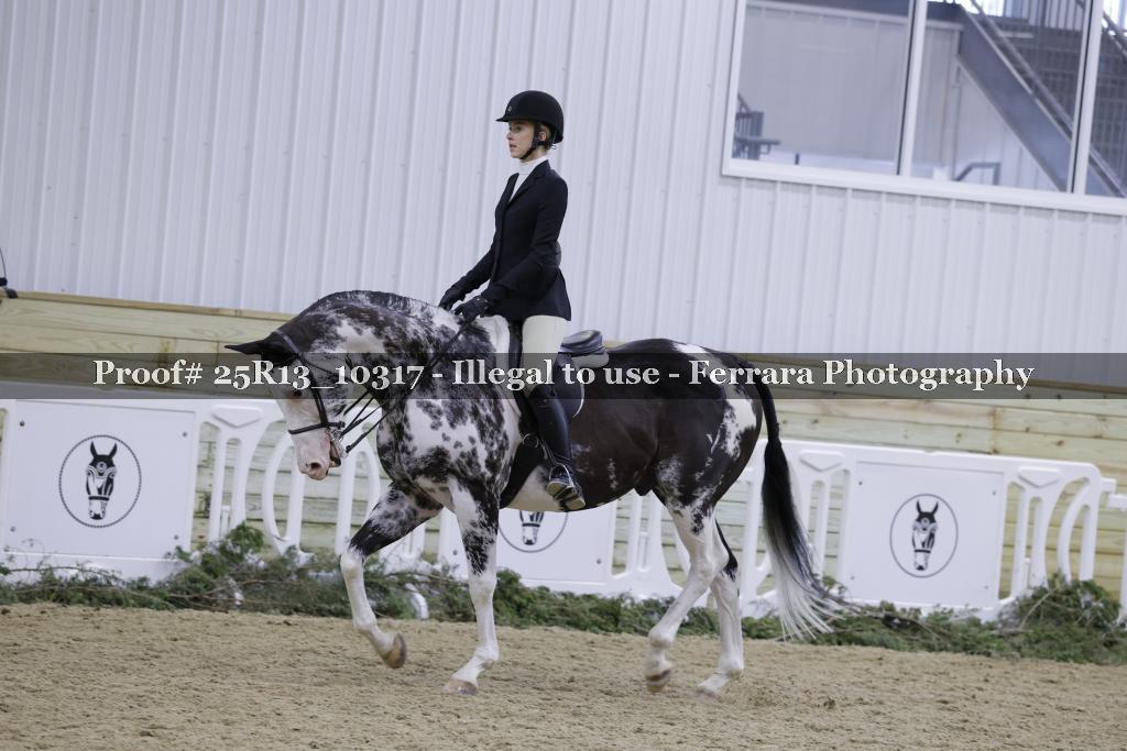 Proof 25R13_10317