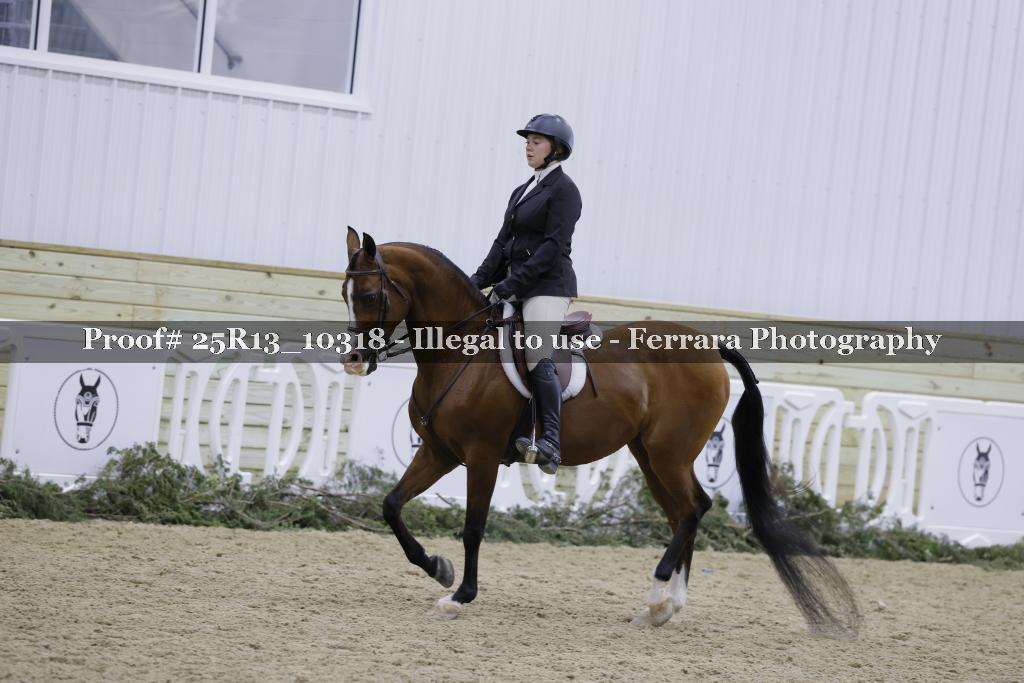 Proof 25R13_10318