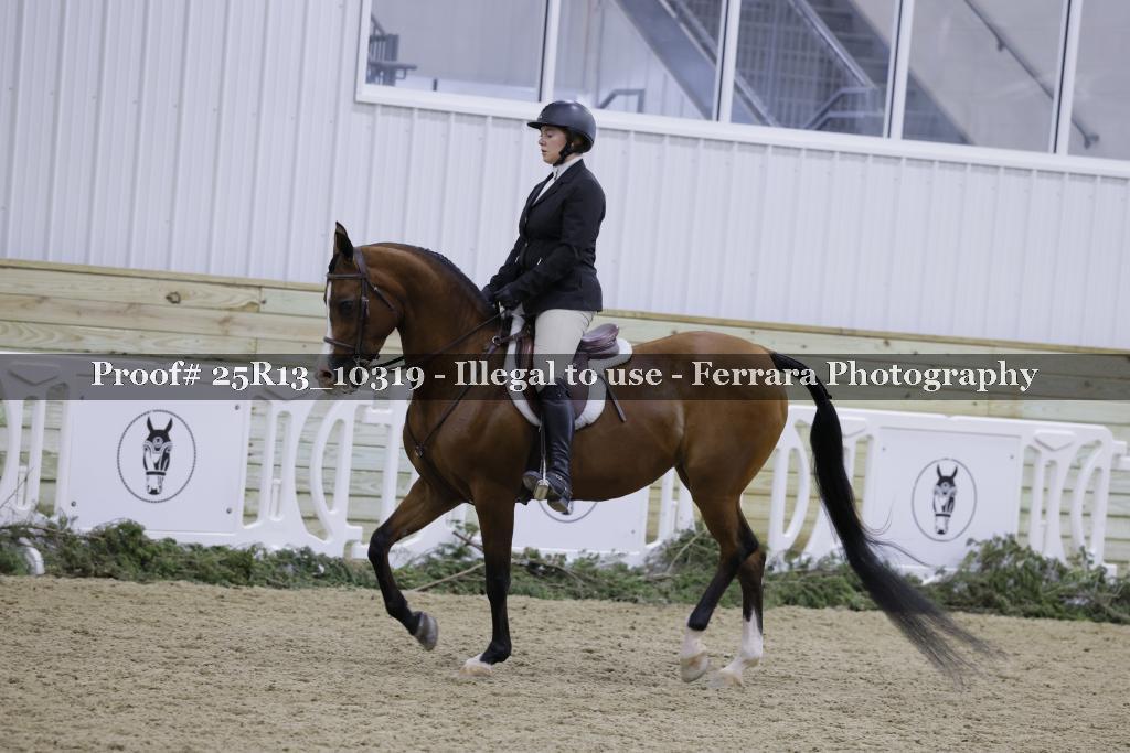 Proof 25R13_10319