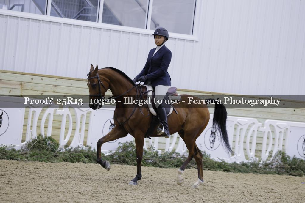 Proof 25R13_10320