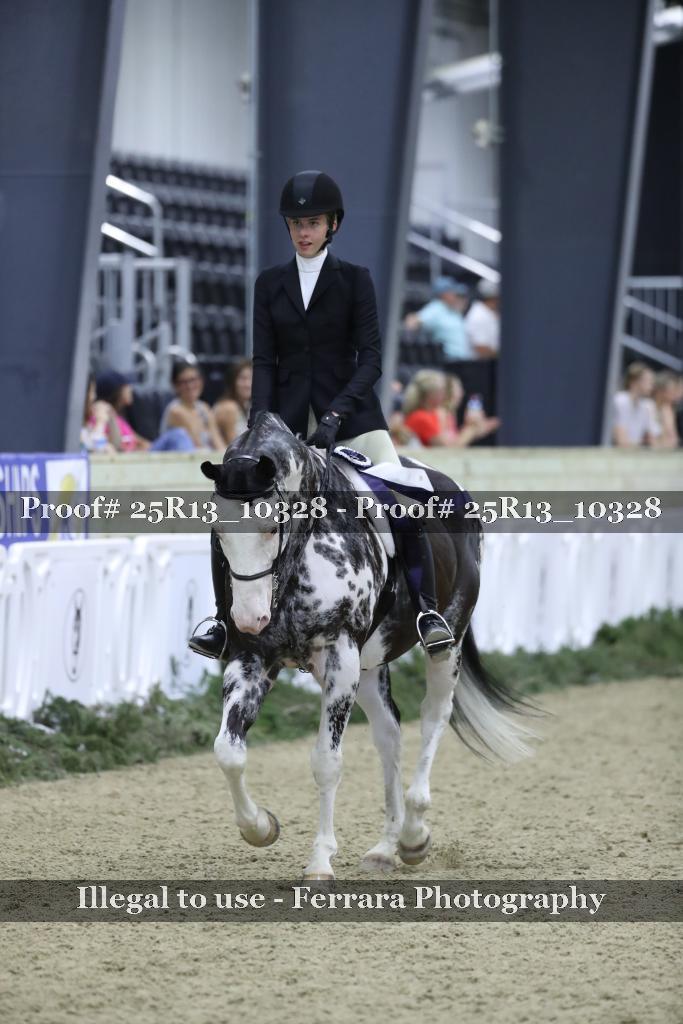 Proof 25R13_10328
