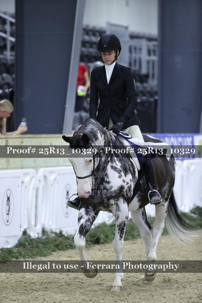 Proof 25R13_10329