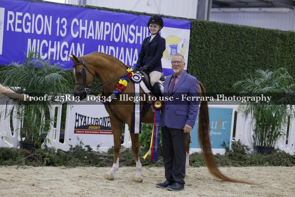 Proof 25R13_10334