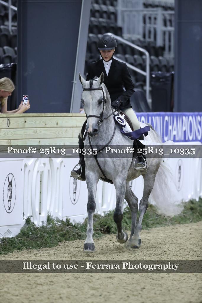 Proof 25R13_10335